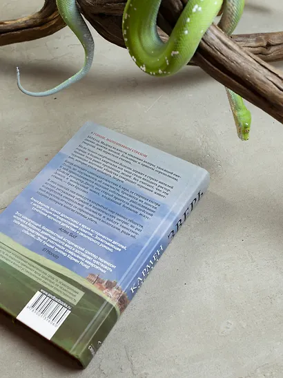 Зверь - фото 15