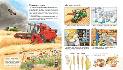 Моя первая энциклопедия. На ферме - фото 3