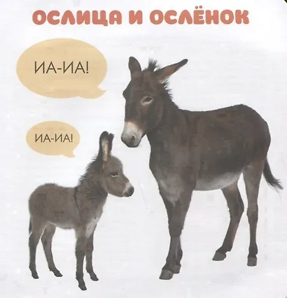 Малышарики. Курс раннего развития 1+. Кто как маму зовёт? - фото 5