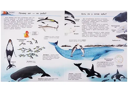 Что? Почему? Зачем? Мир морских животных (с волшебными окошками) - фото 5