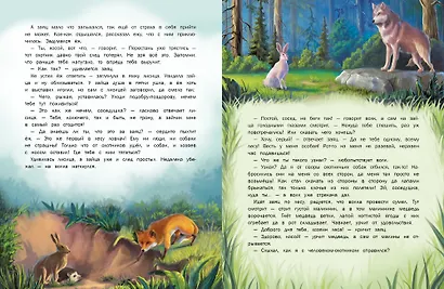 Сказки о Лапландии - фото 4