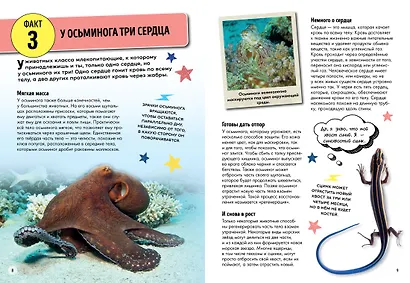 Всё об окружающем мире с научной точки зрения - фото 3