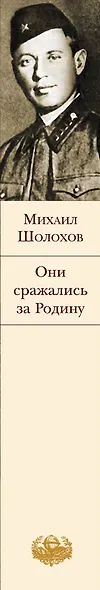 Они сражались за Родину - фото 10