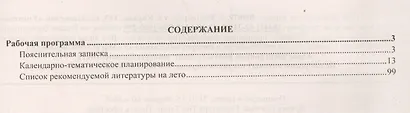 Литературное чтение. 4 класс. Рабочая программа по учебнику Л.А. Ефросининой, М.И. Омороковой. УМК "Начальная школа XXI века" - фото 2