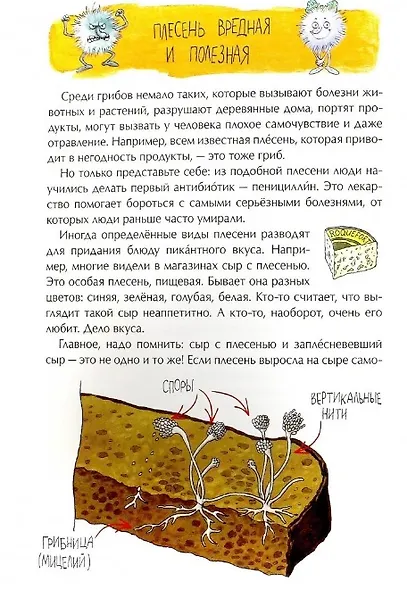 Грибное царство - фото 2