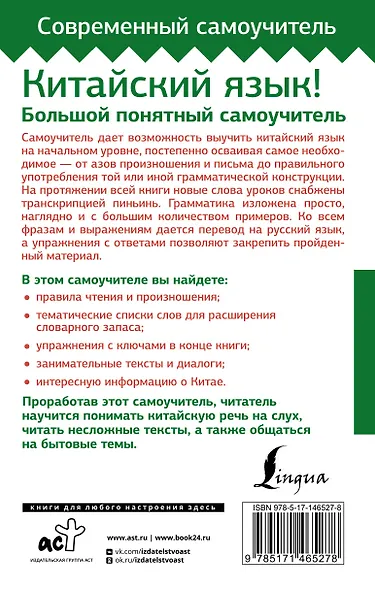 Китайский язык! Большой понятный самоучитель. Всё подробно и по полочкам - фото 2