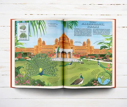 Большой атлас животных в картинках - фото 3