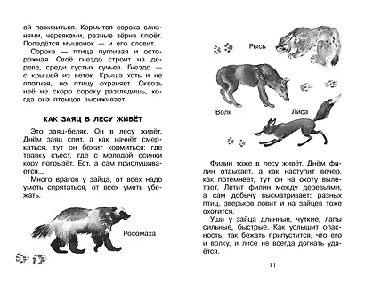 Фомка - белый медвежонок. Рассказы - фото 12