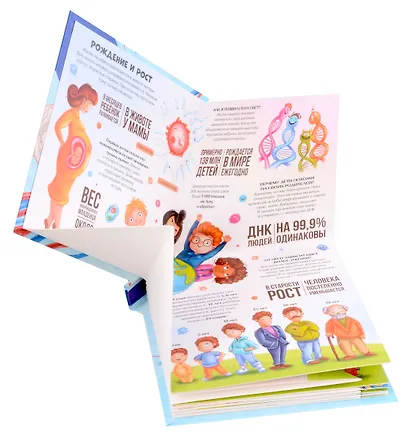 Анатомия : книжка-трансформер - фото 5