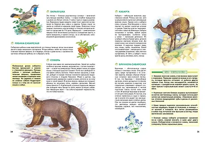 Природа России. Иллюстрированная энциклопедия - фото 13