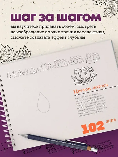 365 дней рисования. Пошаговые техники для начинающих художников - фото 5