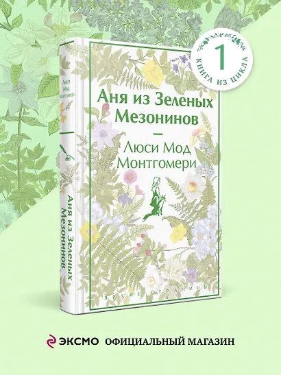 Аня из Зеленых Мезонинов - фото 4