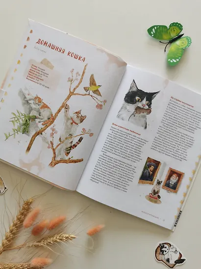 Животные в городе. Где найти и как узнать - фото 11