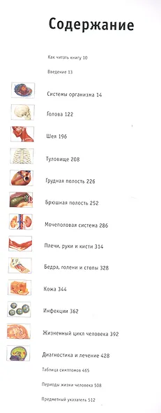 Энциклопедический атлас человеческого тела (ISBN 5-17-038347-9 в суперобложке "Большой иллюстрированный атлас анатомии человека") - фото 3