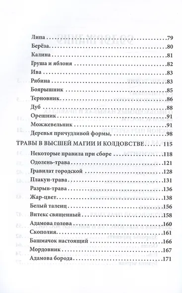 Русское чернокнижие. Часть III. Лесная тропа - фото 3