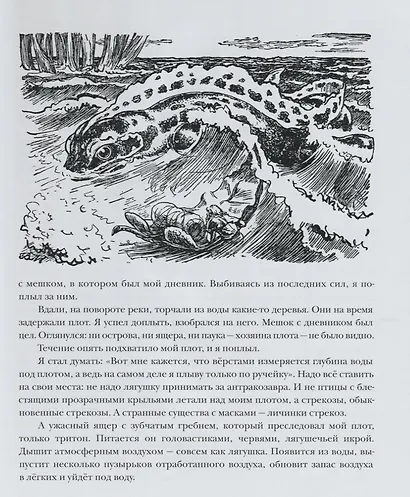 В Стране Дремучих Трав - фото 3