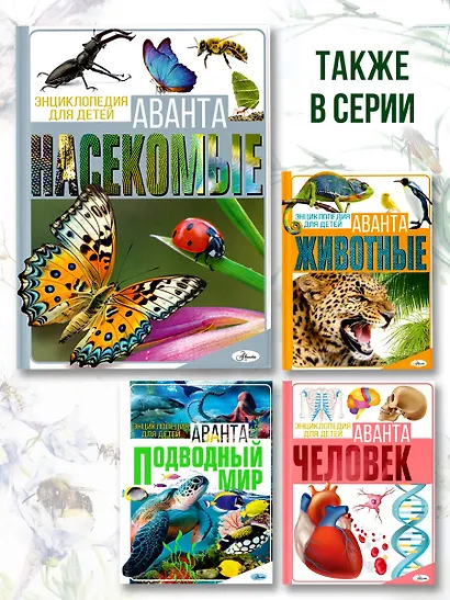 Насекомые - фото 6