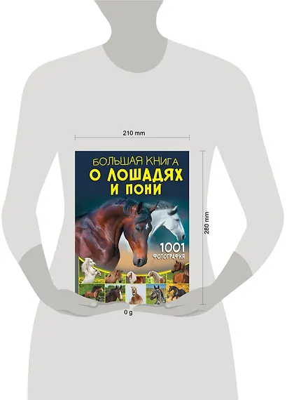 Большая книга о лошадях и пони. 1001 фотография - фото 7