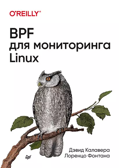 BPF для мониторинга Linux - фото 1