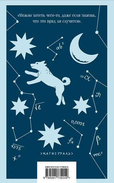 Загадочное ночное убийство собаки - фото 2