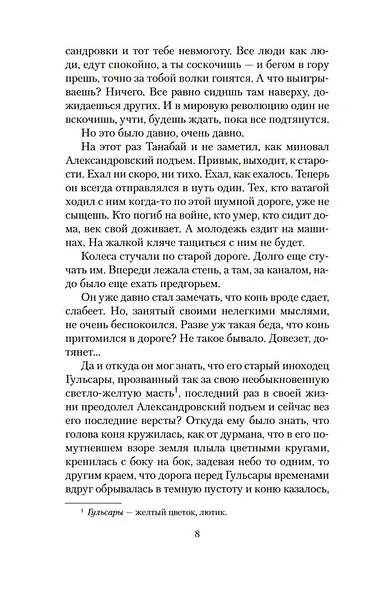 Прощай, Гульсары! - фото 9