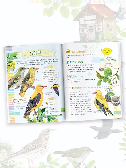 Птицы - фото 6