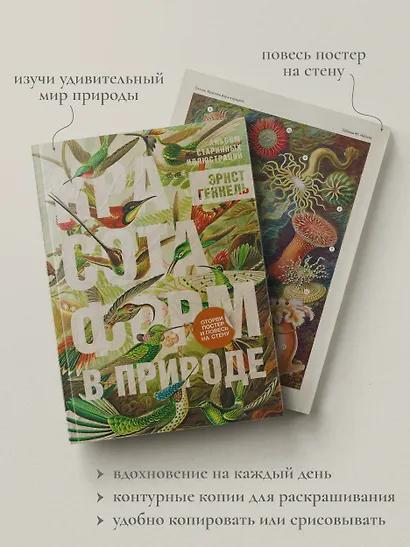 Красота форм в природе. Альбом старинных иллюстраций - фото 5