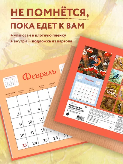 Птицы России. Родная природа. Календарь настенный на 2026 год (300х300 мм) - фото 4