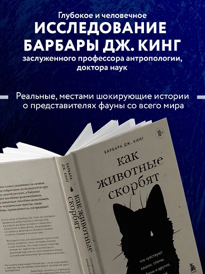 Как животные скорбят. Что чувствуют кошки, слоны, дельфины и другие, теряя близких - фото 7