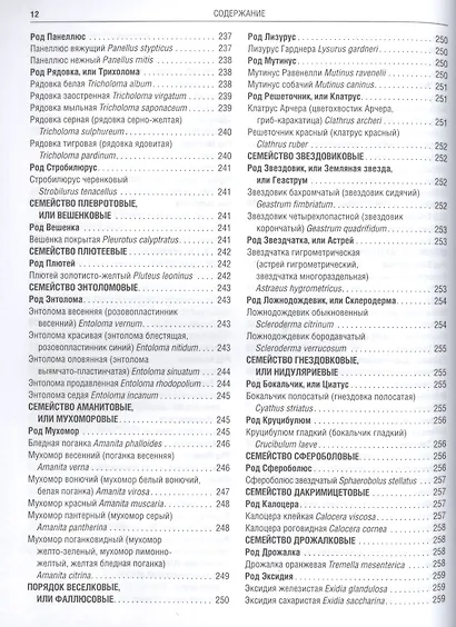 Грибы Полная илл. энциклопедия Более 400 видов грибов... (Куреннов) - фото 3