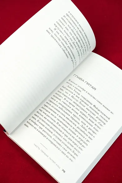 Спящие псы - фото 14