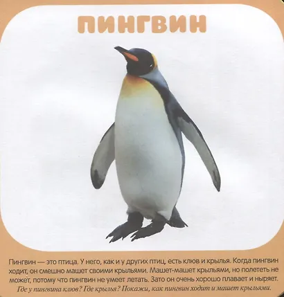 Малышарики. Курс раннего развития 1+. Животные зоопарка - фото 5