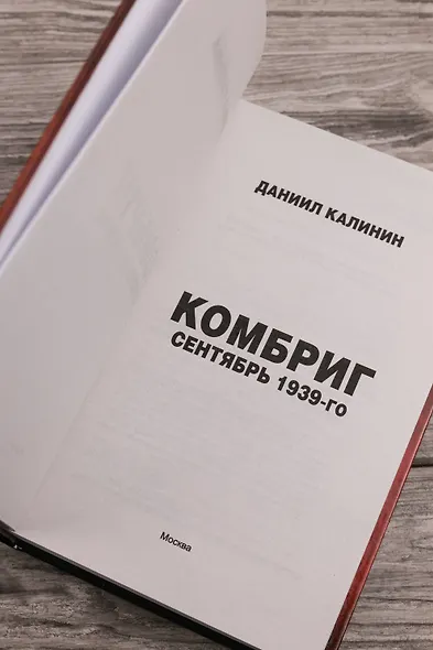 Комбриг. Сентябрь 1939-го - фото 7