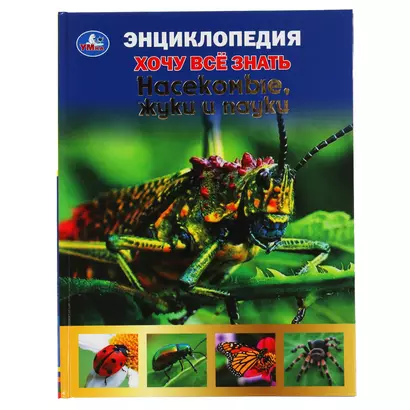 Энциклопедия с развивающими заданиями. Хочу все знать. Насекомые, жуки и пауки - фото 1