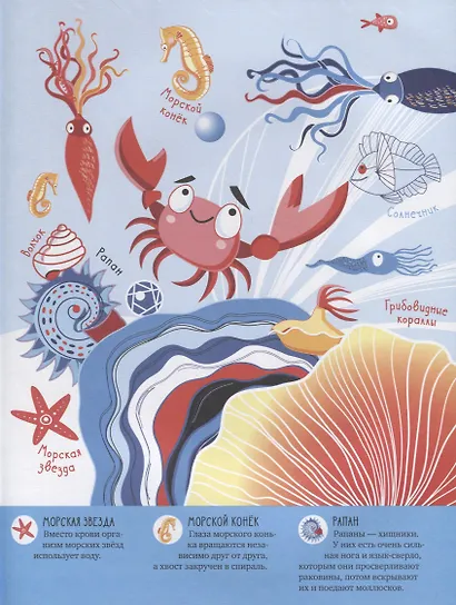 Отважный краб Чу. Путешествие в океанские глубины - фото 3