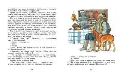 Лисичкин хлеб - фото 13