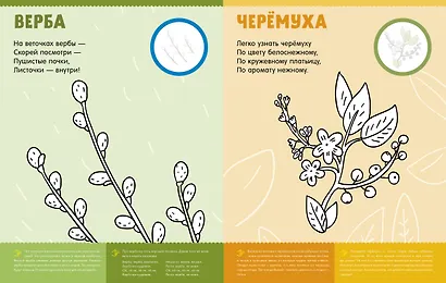 Первая раскраска с наклейками. Времена года - фото 2