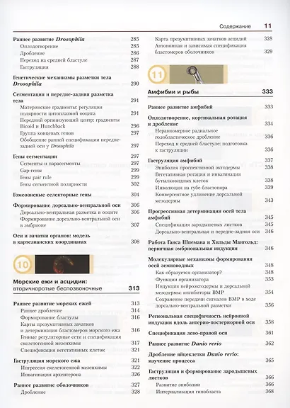 Биология развития - фото 6