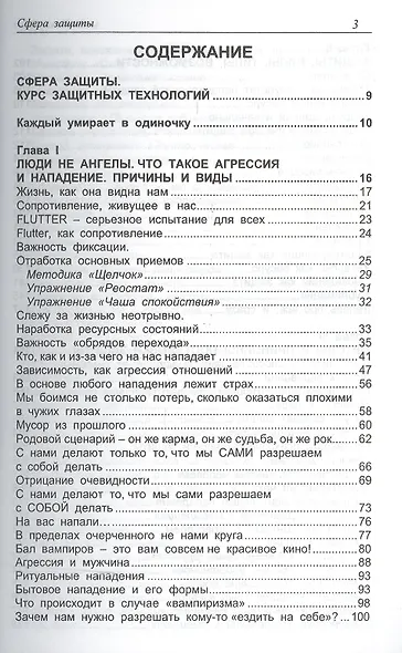 Транссферинг. Сфера защиты - фото 2