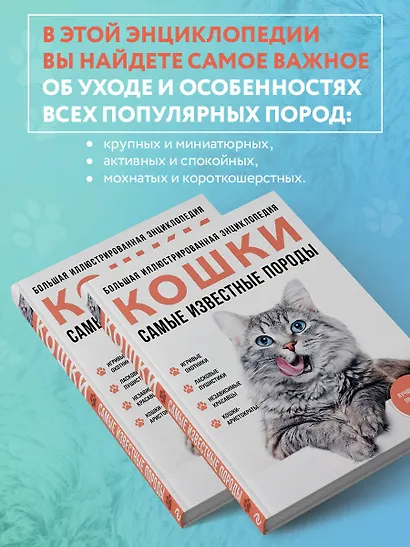 Самые известные породы. КОШКИ. Большая иллюстрированная энциклопедия - фото 5