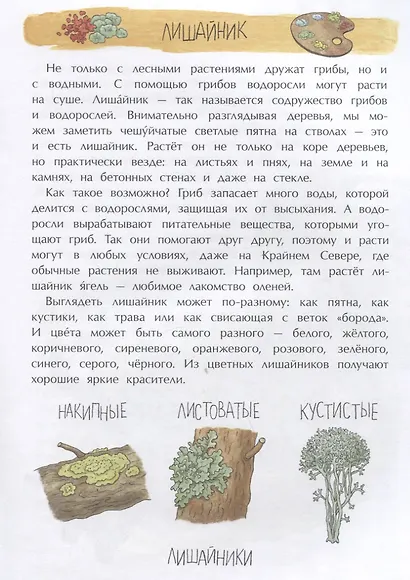 Грибное царство - фото 4