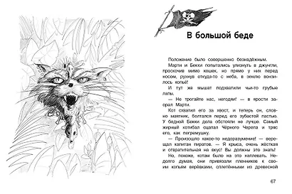 ДХЛ. Крысы-пираты. Месть капитана пиратов - фото 4