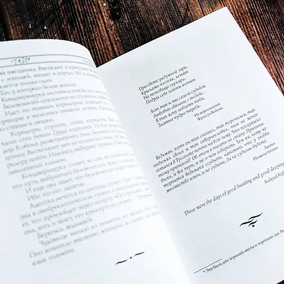 Ведьмак. Владычица Озера - фото 10