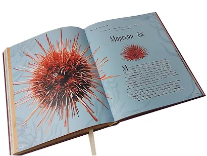 Чудеса природы. Энциклопедия - фото 8