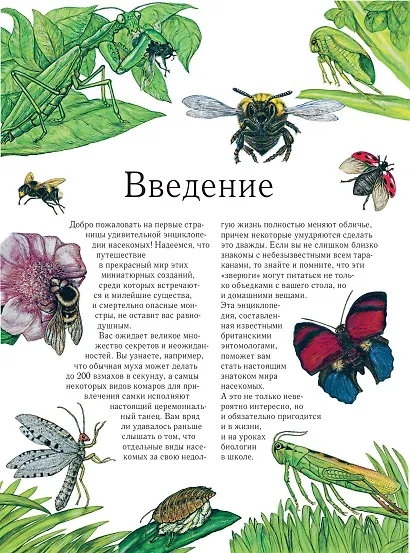 Насекомые. Полная энциклопедия - фото 9