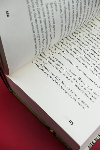 Бабий Яр: роман-документ - фото 10