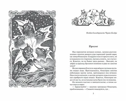 Расколотое небо - фото 2