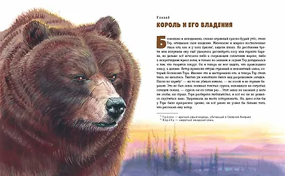 Гризли (ил. В. Канивца) - фото 4