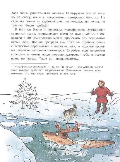 Вот какой ты северный олень! - фото 4