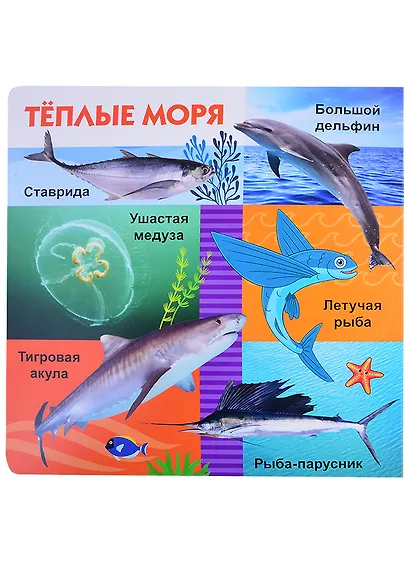 Морские обитатели - фото 4